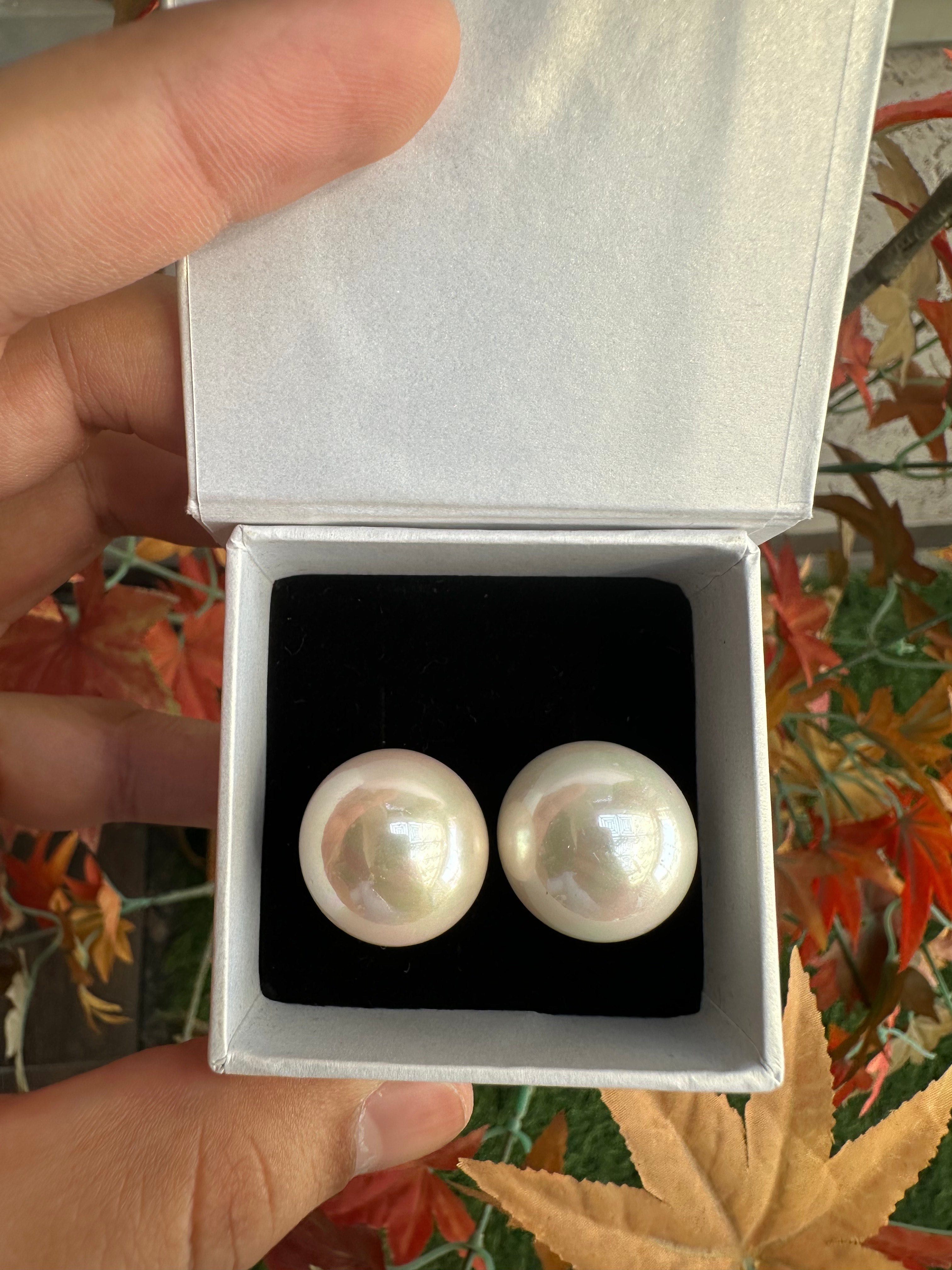Pearls Ear studs